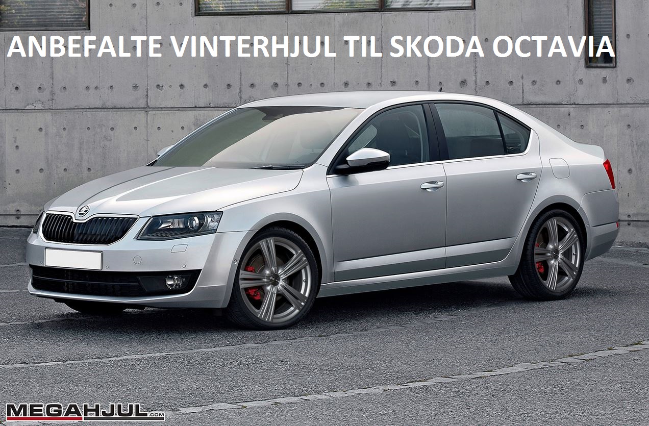 anbefalte-vinterhjul-til-skoda-octavia